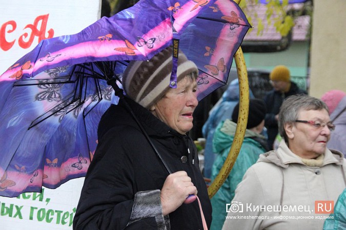 В Кинешме пенсионеры вышли на пикет за сохранение микрорынка на «Чкаловском» фото 10