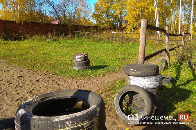 В Кинешме на бывшей хлопковой базе держат породистых лошадей фото 21