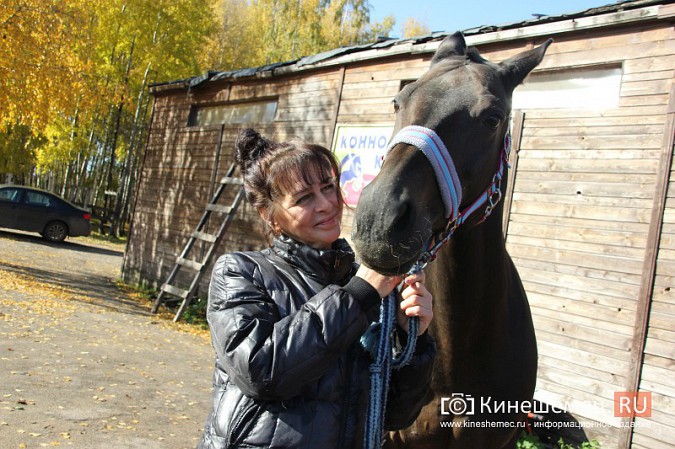 В Кинешме на бывшей хлопковой базе держат породистых лошадей фото 17
