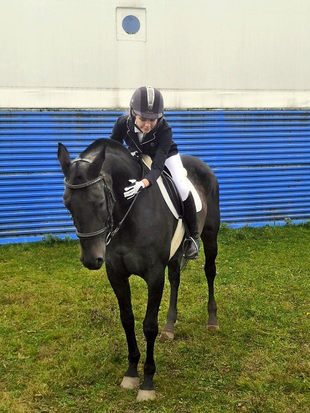 В Кинешме на бывшей хлопковой базе держат породистых лошадей фото 28