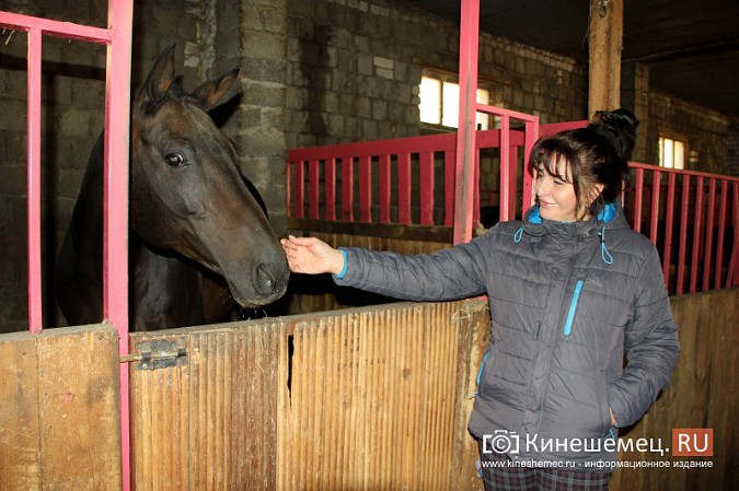 В Кинешме на бывшей хлопковой базе держат породистых лошадей фото 8