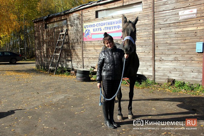 В Кинешме на бывшей хлопковой базе держат породистых лошадей фото 16