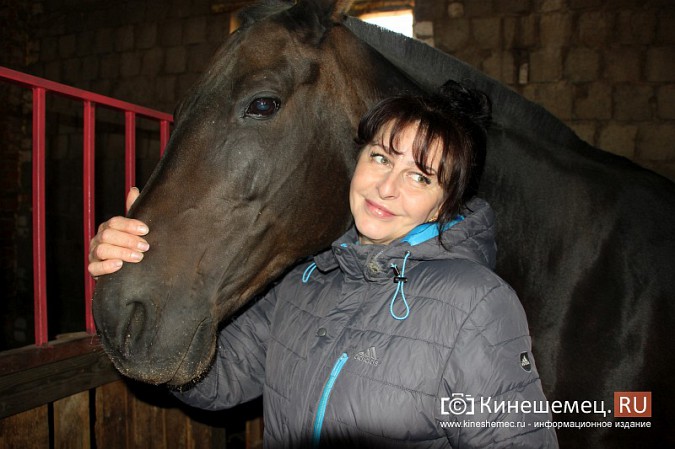 В Кинешме на бывшей хлопковой базе держат породистых лошадей фото 9