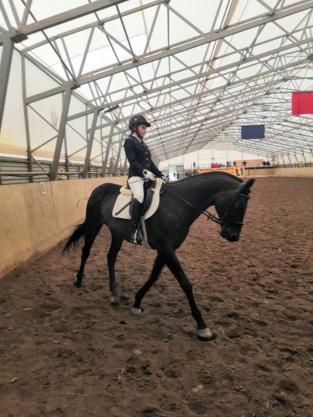 В Кинешме на бывшей хлопковой базе держат породистых лошадей фото 25