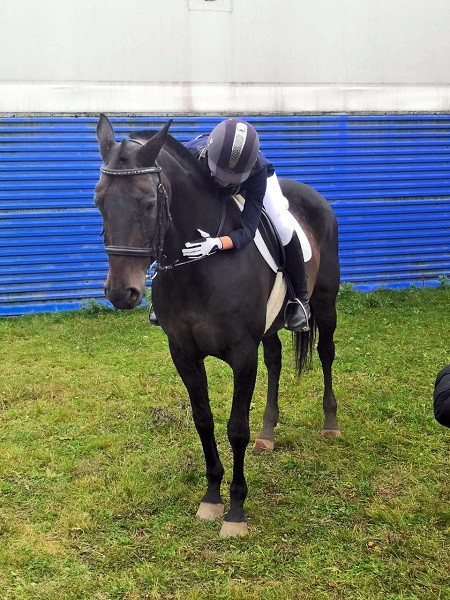 В Кинешме на бывшей хлопковой базе держат породистых лошадей фото 26