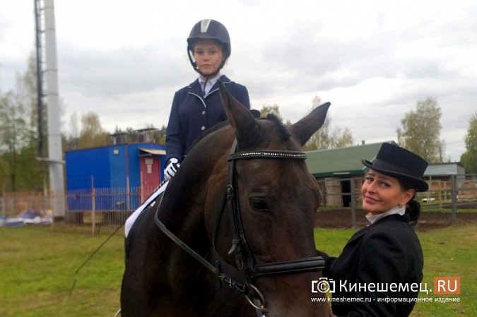 В Кинешме на бывшей хлопковой базе держат породистых лошадей фото 31
