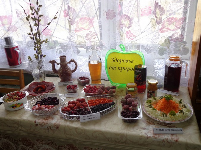 Кинешемские садоводы поделились друг с другом рецептами народных лекарств фото 2