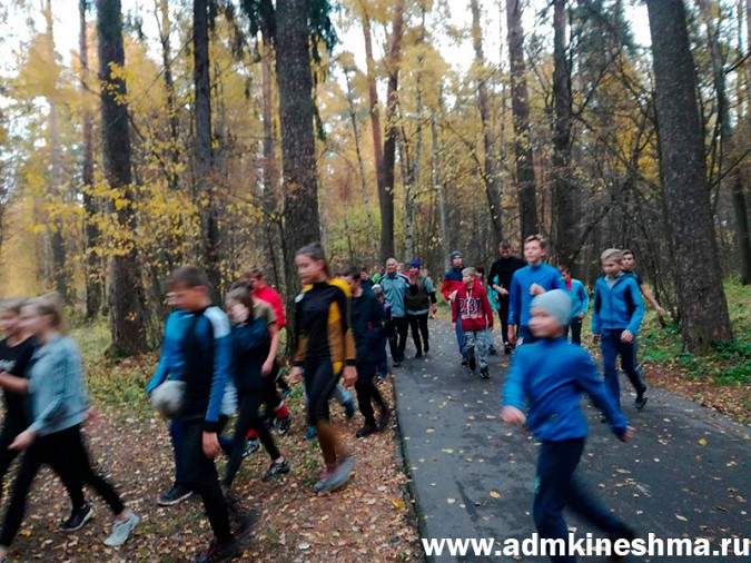В Кинешме показушно отметили Всероссийский День ходьбы фото 3