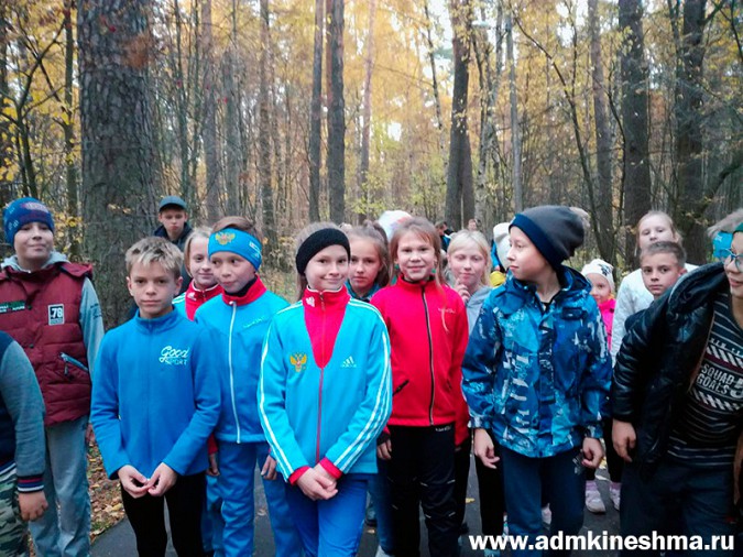 В Кинешме показушно отметили Всероссийский День ходьбы фото 5