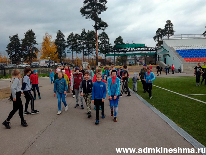 В Кинешме показушно отметили Всероссийский День ходьбы фото 6