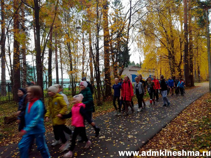 В Кинешме показушно отметили Всероссийский День ходьбы фото 4