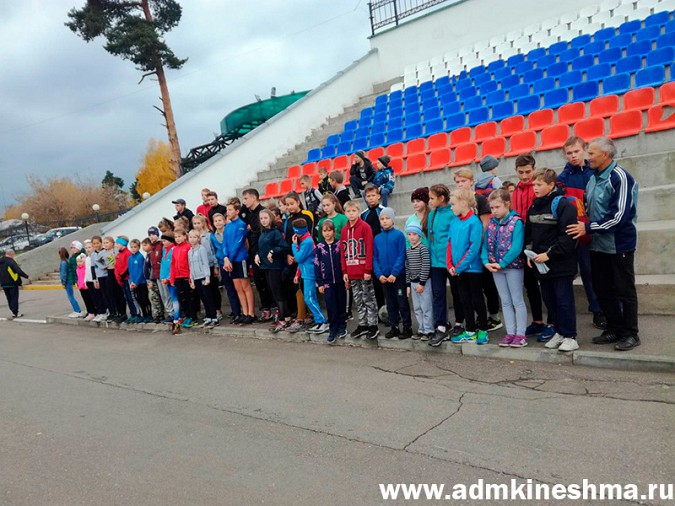 В Кинешме показушно отметили Всероссийский День ходьбы фото 2