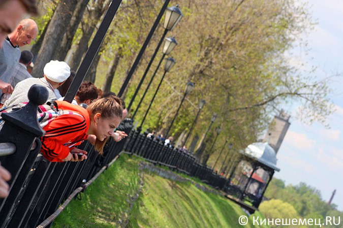 Легкоатлетическая эстафета прошла в Кинешме фото 76