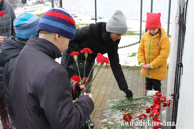 В Кинешме отметили День народного единства фото 5