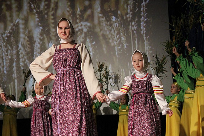 В Кинешме отметили День народного единства фото 10