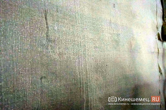В многострадальном стрелковом тире Кинешмы закрашивают обтянутые стеклотканью стены фото 6