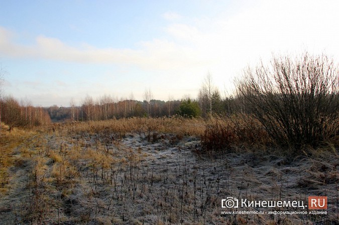 Многодетная мама из Кинешмы готова жаловаться Путину на ситуацию с выделением участков фото 14