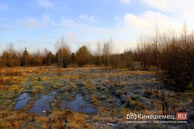 Многодетная мама из Кинешмы готова жаловаться Путину на ситуацию с выделением участков фото 18