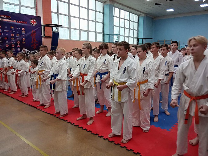 Кинешемцы стали призерами первенства по киокусинкай каратэ фото 10