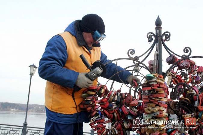 Мэрия Кинешмы дала указание срезать замки с «дерева любви» на Волжском бульваре фото 9