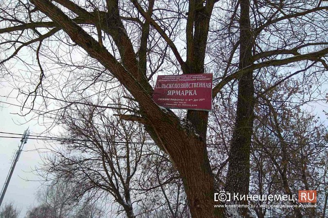 Пенсионеров не устраивает предложенное мэрией место для торговли на «Чкаловском» фото 5