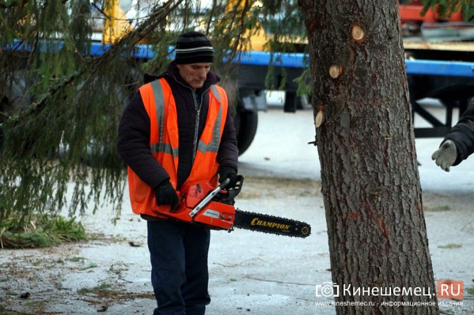 В Кинешму привезли главную новогоднюю елку фото 27