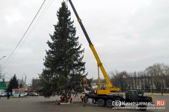 В Кинешму привезли главную новогоднюю елку фото 33