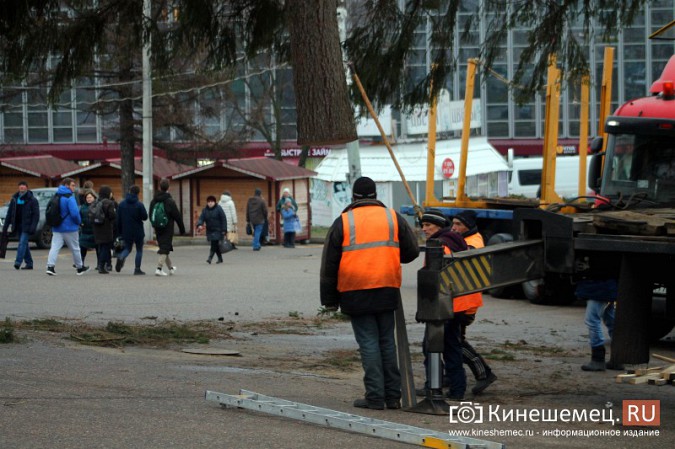 В Кинешму привезли главную новогоднюю елку фото 20