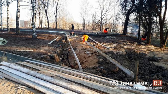 В Кинешме при благоустройстве парка уничтожили аллею сирени, высаженную к 70-летию Победы фото 5