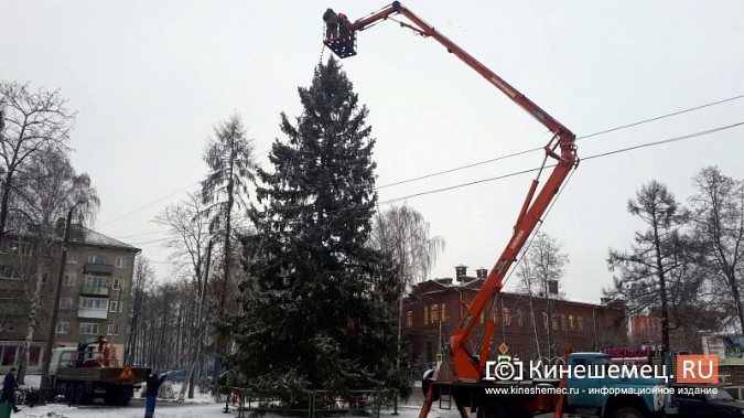 В Кинешме приступили к украшению главных новогодних елок фото 2