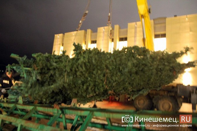 На площадке перед кинешемским драмтеатром начался монтаж 20-тонной искусственной елки фото 2