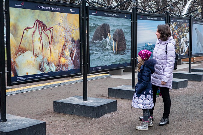 Выставка «Притяжение Арктики» проходит в Москве при поддержке «Роснефти» фото 5