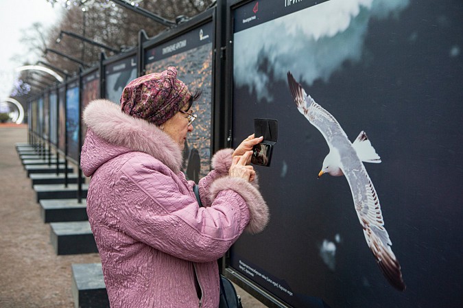 Выставка «Притяжение Арктики» проходит в Москве при поддержке «Роснефти» фото 3
