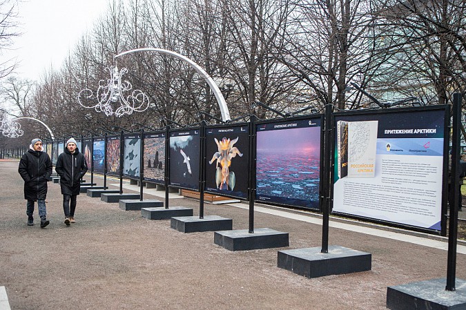Выставка «Притяжение Арктики» проходит в Москве при поддержке «Роснефти» фото 2