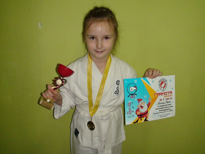 В Кинешме прошел турнир по всестилевому каратэ на призы Деда Мороза фото 6