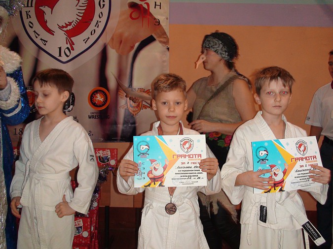 В Кинешме прошел турнир по всестилевому каратэ на призы Деда Мороза фото 11