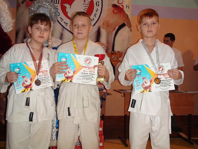 В Кинешме прошел турнир по всестилевому каратэ на призы Деда Мороза фото 13