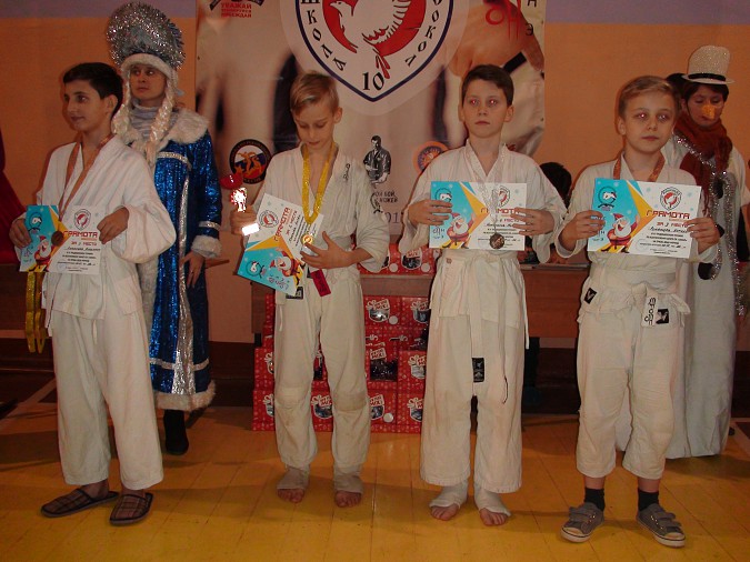 В Кинешме прошел турнир по всестилевому каратэ на призы Деда Мороза фото 16