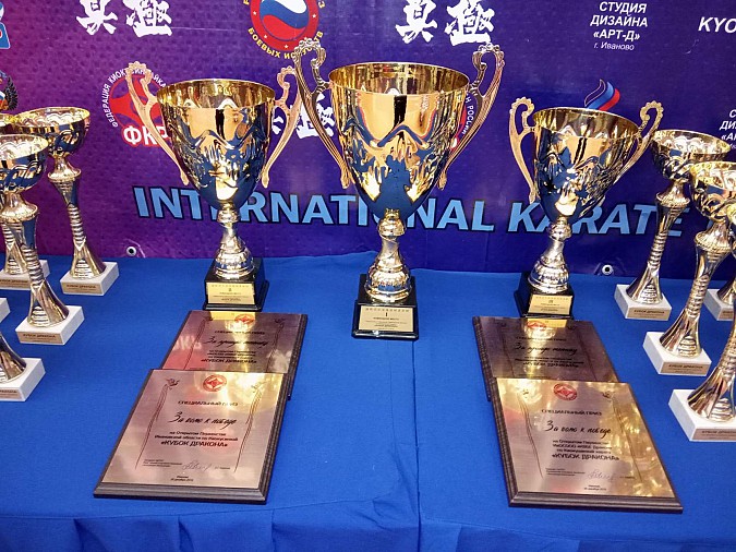 Воспитанники Екатерины Соколовой стали призерами первенства области по каратэ фото 10