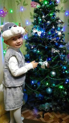 Подведены итоги фотоконкурса на лучшую новогоднюю ель фото 18