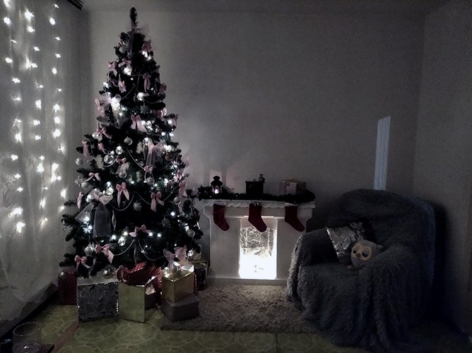 Подведены итоги фотоконкурса на лучшую новогоднюю ель фото 35