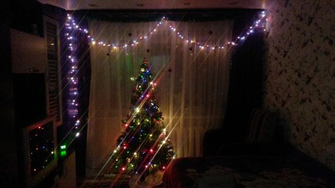 Подведены итоги фотоконкурса на лучшую новогоднюю ель фото 27