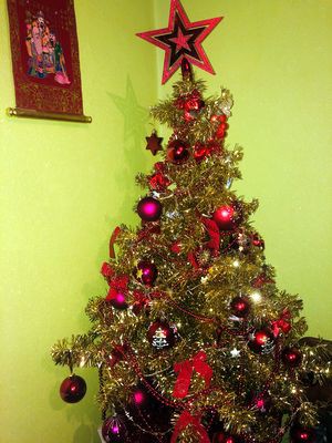 Подведены итоги фотоконкурса на лучшую новогоднюю ель фото 12