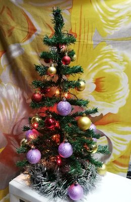 Подведены итоги фотоконкурса на лучшую новогоднюю ель фото 26