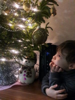 Подведены итоги фотоконкурса на лучшую новогоднюю ель фото 8