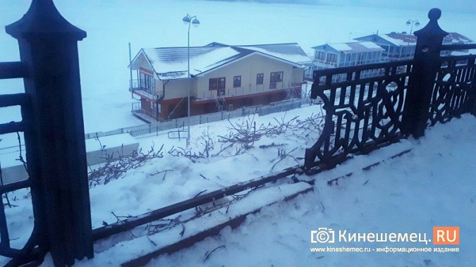 В Кинешме при спиле тополей на Волжском бульваре проломили ограждение с чайками фото 2