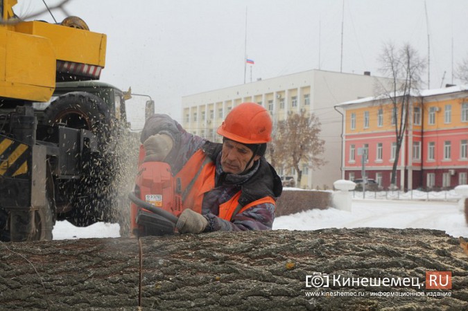 В Кинешме при спиле тополей на Волжском бульваре проломили ограждение с чайками фото 8