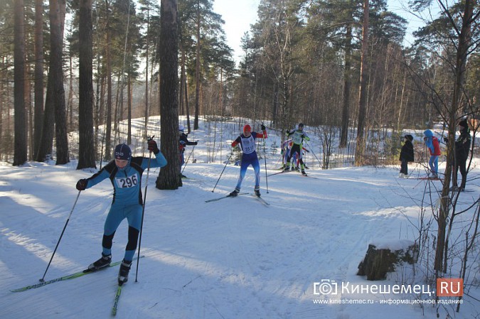 «Лыжня России» в Кинешме собрала более 500 участников фото 117