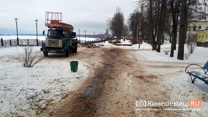 На Волжском бульваре завершается большая санитарная вырубка фото 11