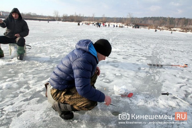 В Кинешме прошли соревнования по рыбной ловле на мормышку фото 12